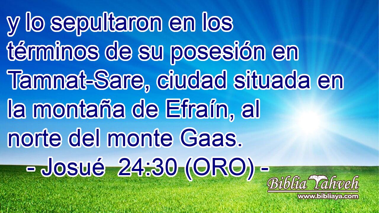  y lo sepultaron en los términos de su posesión en Tamnat-Sare, ciudad situada en la montaña de Efraín, al norte del monte Gaas. 