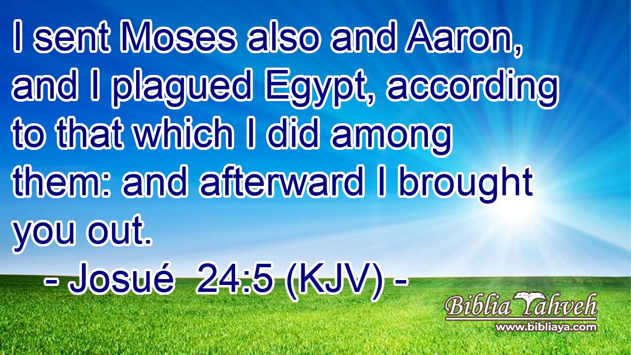 I sent Moses also and Aaron, and I plagued Egypt, according to that which I did among them: and afterward I brought you out.