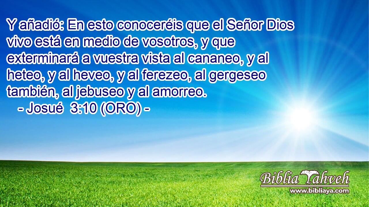  Y añadió: En esto conoceréis que el Señor Dios vivo está en medio de vosotros, y que exterminará a vuestra vista al cananeo, y al heteo, y al heveo, y al ferezeo, al gergeseo también, al jebuseo y al amorreo. 