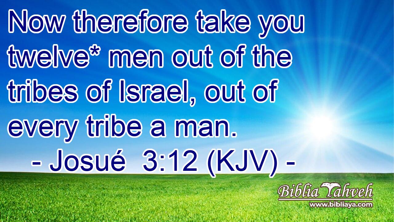 Now therefore take you twelve* men out of the tribes of Israel, out of every tribe a man.