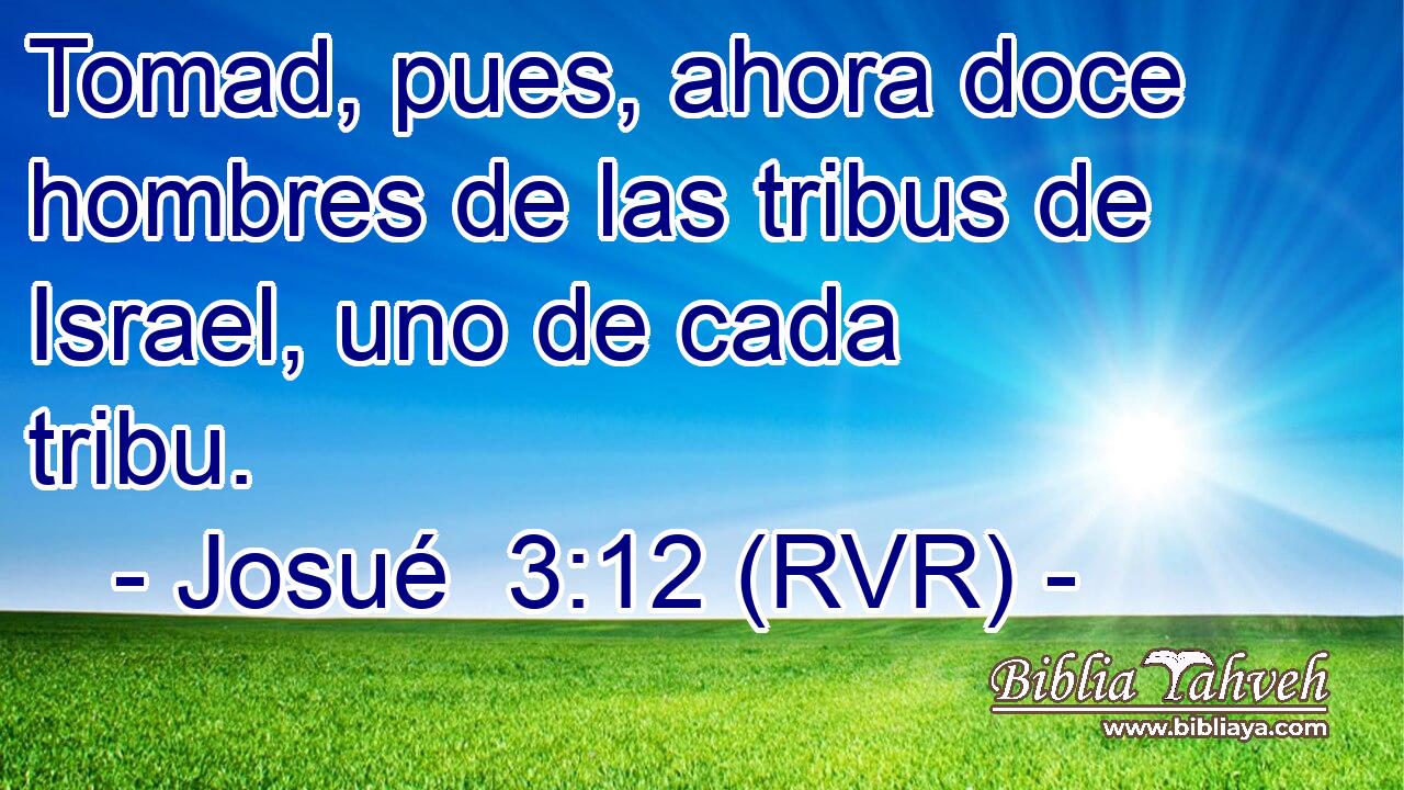 Tomad, pues, ahora doce hombres de las tribus de Israel, uno de cada tribu.