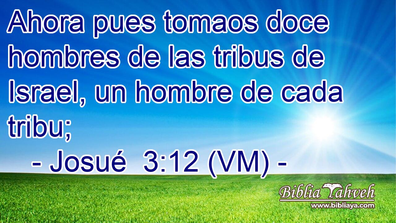  Ahora pues tomaos doce hombres de las tribus de Israel, un hombre de cada tribu; 
