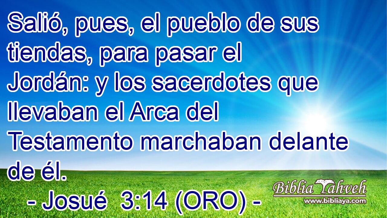  Salió, pues, el pueblo de sus tiendas, para pasar el Jordán: y los sacerdotes que llevaban el Arca del Testamento marchaban delante de él. 