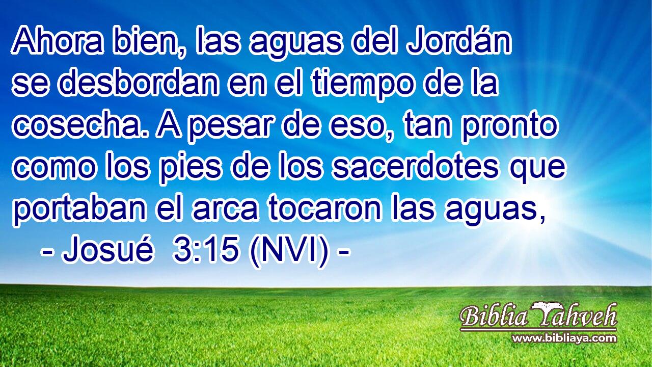  Ahora bien, las aguas del Jordán se desbordan en el tiempo de la cosecha. A pesar de eso, tan pronto como los pies de los sacerdotes que portaban el arca tocaron las aguas, 