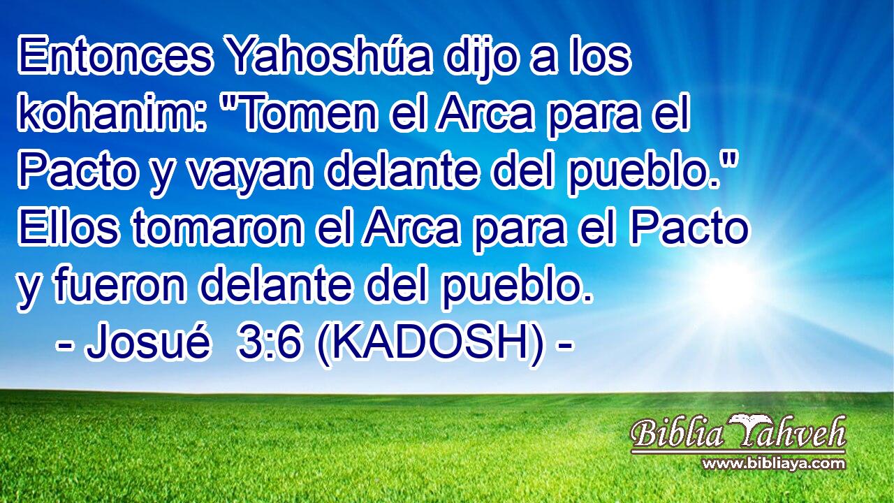  Entonces Yahoshúa dijo a los kohanim: 