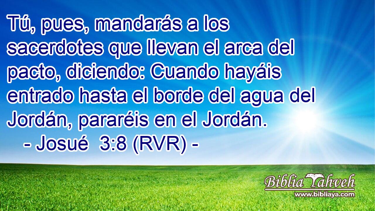 Tú, pues, mandarás a los sacerdotes que llevan el arca del pacto, diciendo: Cuando hayáis entrado hasta el borde del agua del Jordán, pararéis en el Jordán.