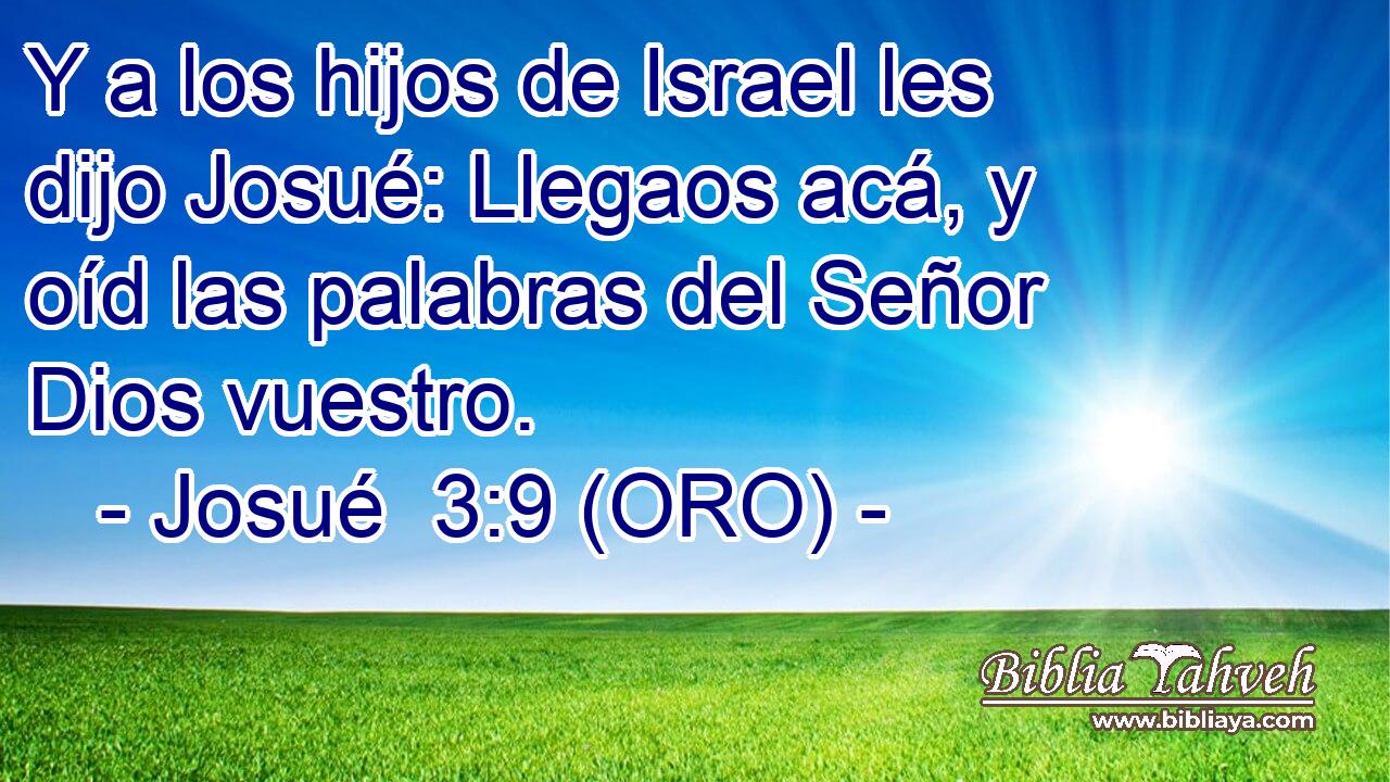  Y a los hijos de Israel les dijo Josué: Llegaos acá, y oíd las palabras del Señor Dios vuestro. 