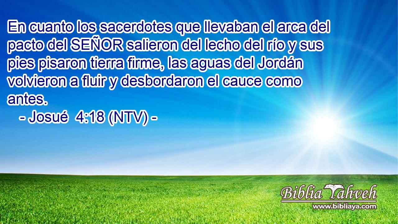 En cuanto los sacerdotes que llevaban el arca del pacto del SEÑOR salieron del lecho del río y sus pies pisaron tierra firme, las aguas del Jordán volvieron a fluir y desbordaron el cauce como antes.