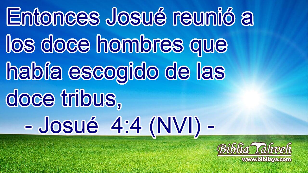  Entonces Josué reunió a los doce hombres que había escogido de las doce tribus, 