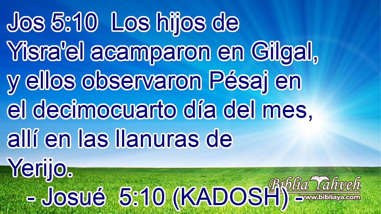  Los hijos de Yisra'el acamparon en Gilgal, y ellos observaron Pésaj en el decimocuarto día del mes, allí en las llanuras de Yerijo. 