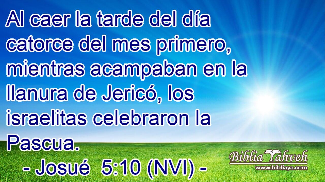  Al caer la tarde del día catorce del mes primero, mientras acampaban en la llanura de Jericó, los israelitas celebraron la Pascua. 