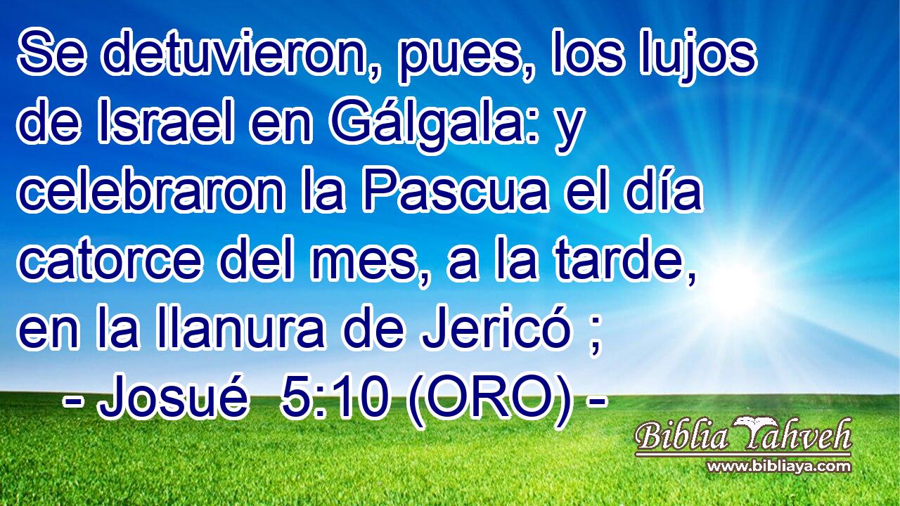  Se detuvieron, pues, los lujos de Israel en Gálgala: y celebraron la Pascua el día catorce del mes, a la tarde, en la llanura de Jericó ; 