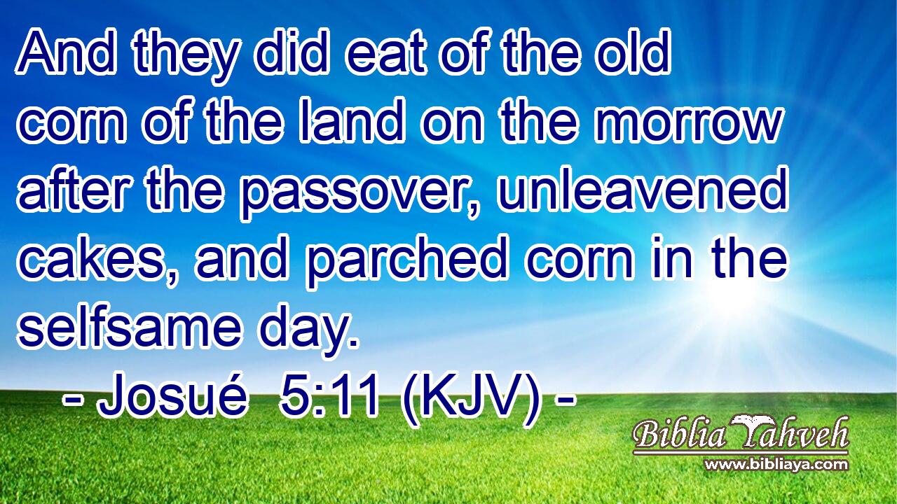 And they did eat of the old corn of the land on the morrow after the passover, unleavened cakes, and parched corn in the selfsame day.