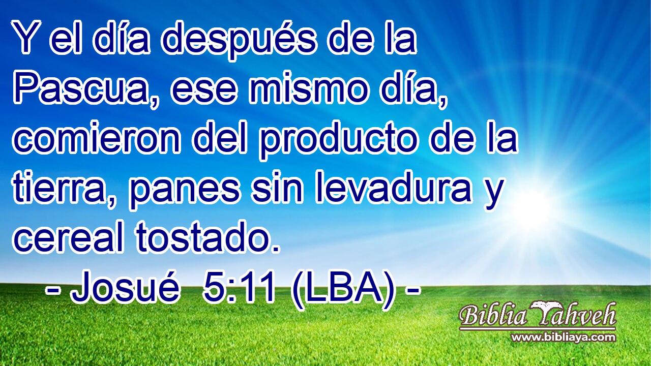 Y el día después de la Pascua, ese mismo día, comieron del producto de la tierra, panes sin levadura y cereal tostado.