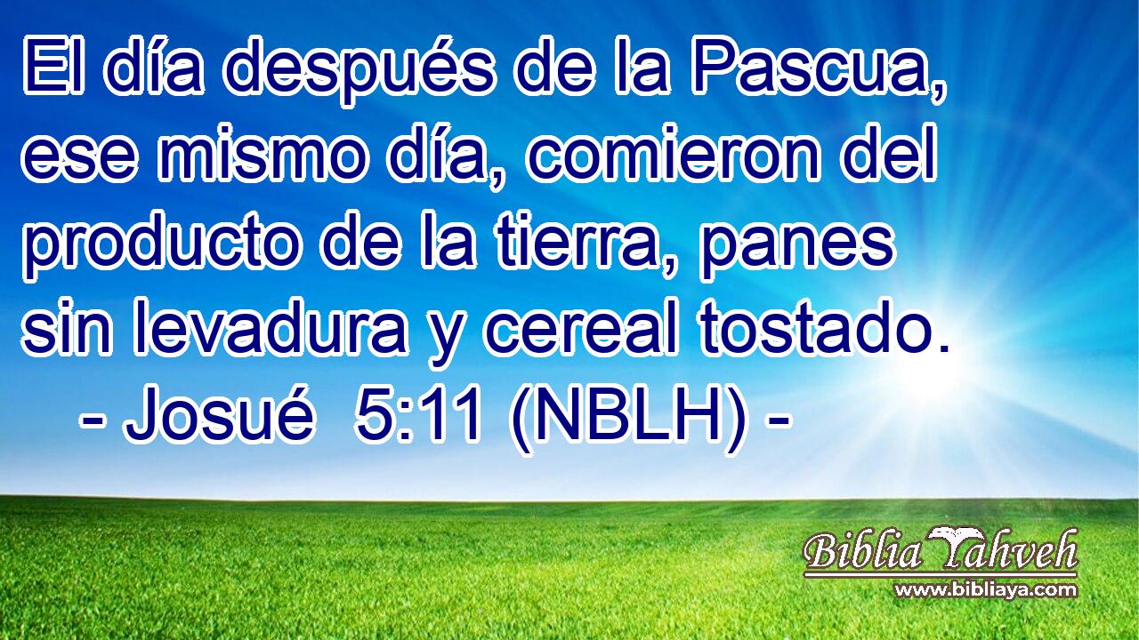  El día después de la Pascua, ese mismo día, comieron del producto de la tierra, panes sin levadura y cereal tostado. 
