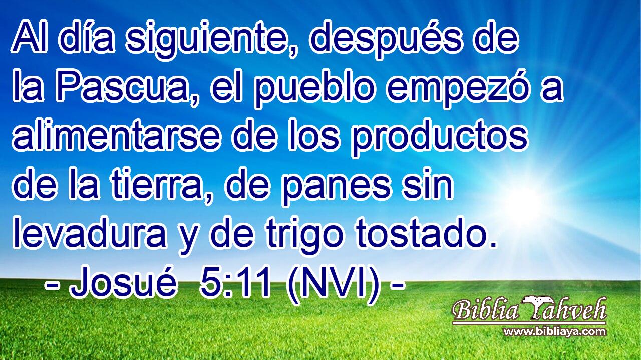  Al día siguiente, después de la Pascua, el pueblo empezó a alimentarse de los productos de la tierra, de panes sin levadura y de trigo tostado. 