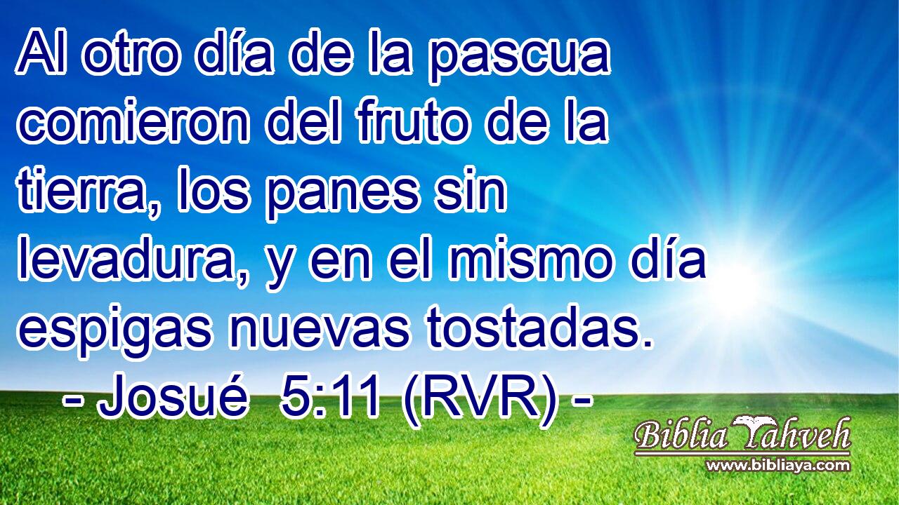 Al otro día de la pascua comieron del fruto de la tierra, los panes sin levadura, y en el mismo día espigas nuevas tostadas.