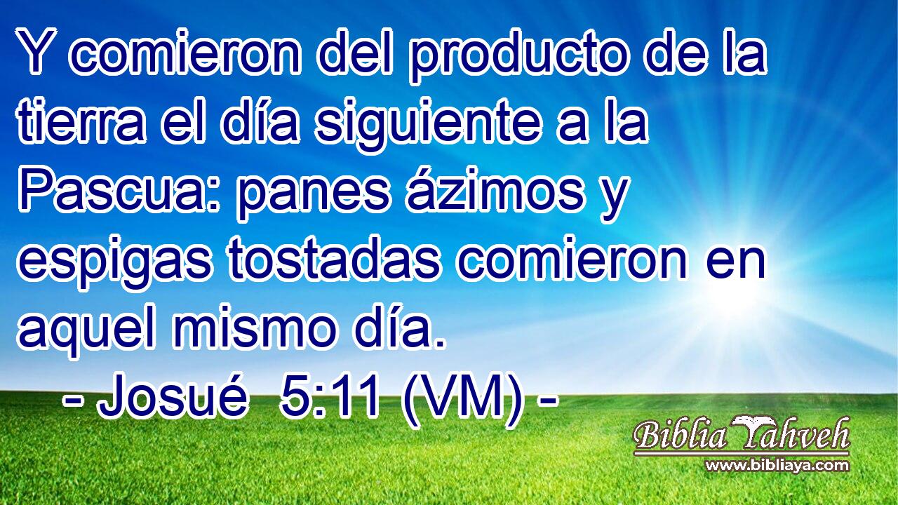  Y comieron del producto de la tierra el día siguiente a la Pascua: panes ázimos y espigas tostadas comieron en aquel mismo día. 
