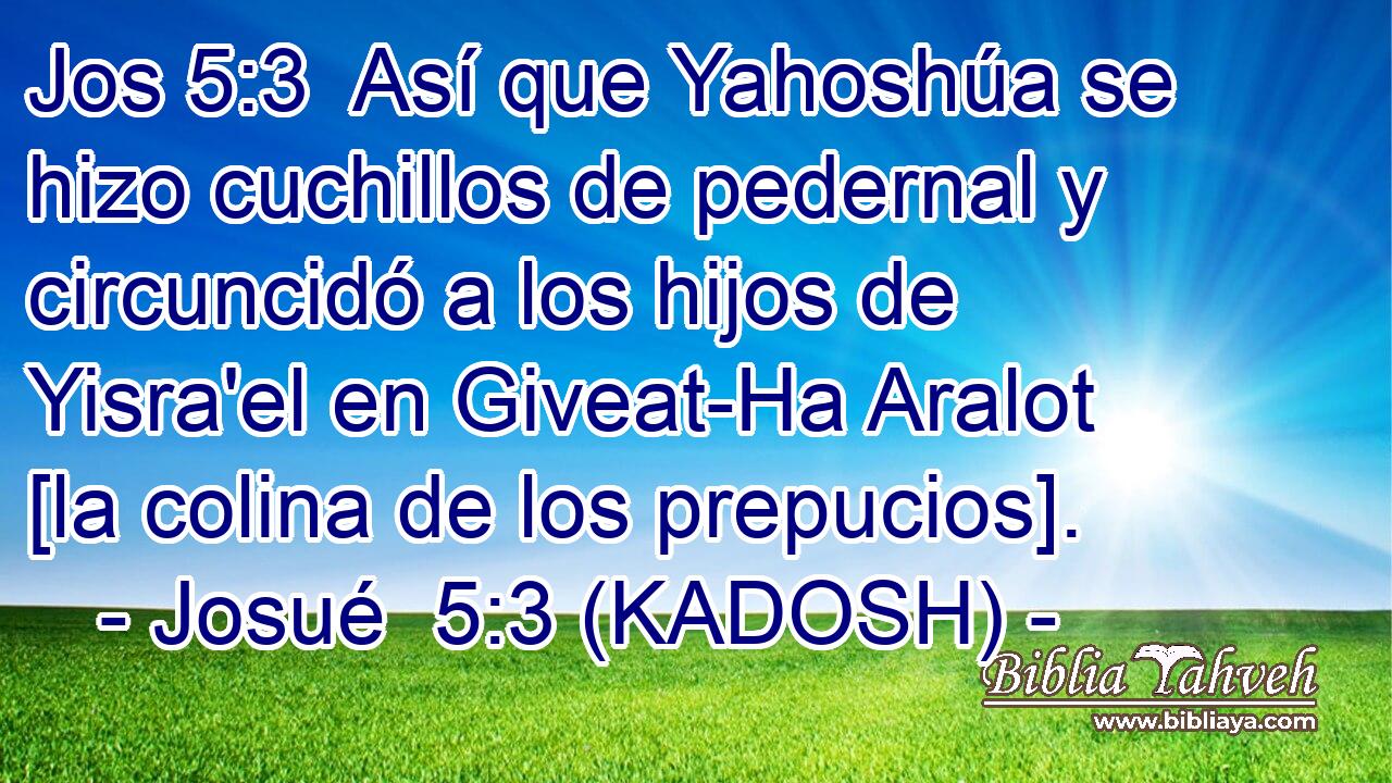  Así que Yahoshúa se hizo cuchillos de pedernal y circuncidó a los hijos de Yisra'el en Giveat-Ha Aralot [la colina de los prepucios]. 