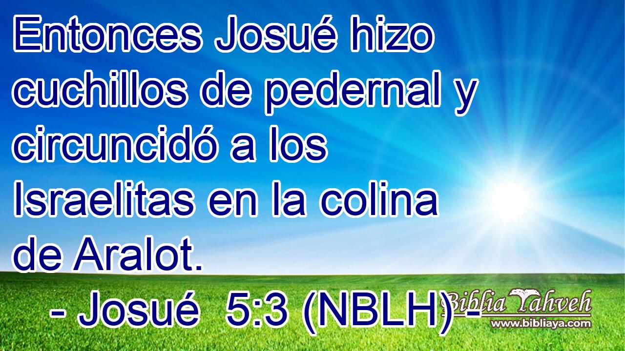  Entonces Josué hizo cuchillos de pedernal y circuncidó a los Israelitas en la colina de Aralot. 