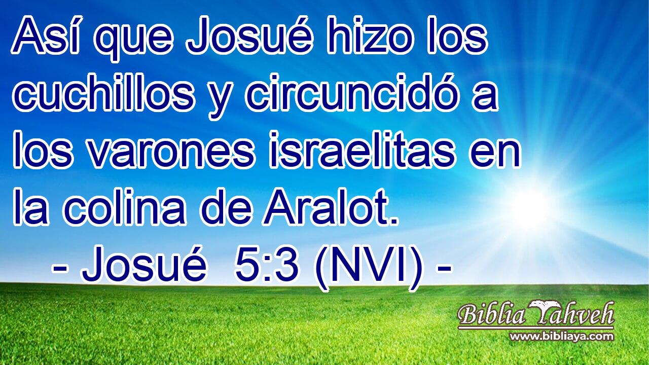  Así que Josué hizo los cuchillos y circuncidó a los varones israelitas en la colina de Aralot. 