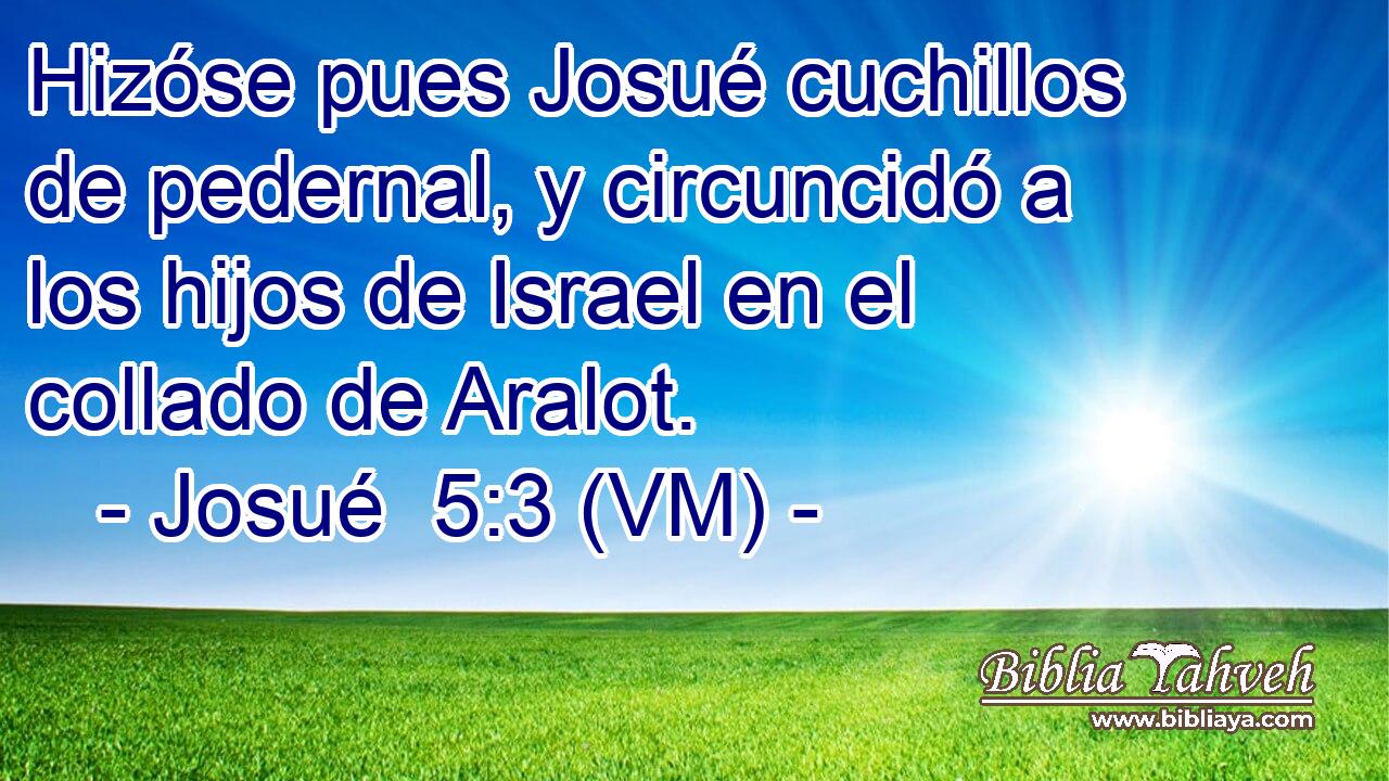  Hizóse pues Josué cuchillos de pedernal, y circuncidó a los hijos de Israel en el collado de Aralot. 