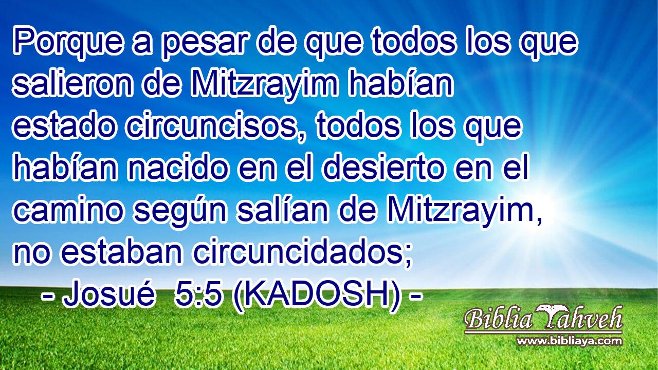  Porque a pesar de que todos los que salieron de Mitzrayim habían estado circuncisos, todos los que habían nacido en el desierto en el camino según salían de Mitzrayim, no estaban circuncidados; 