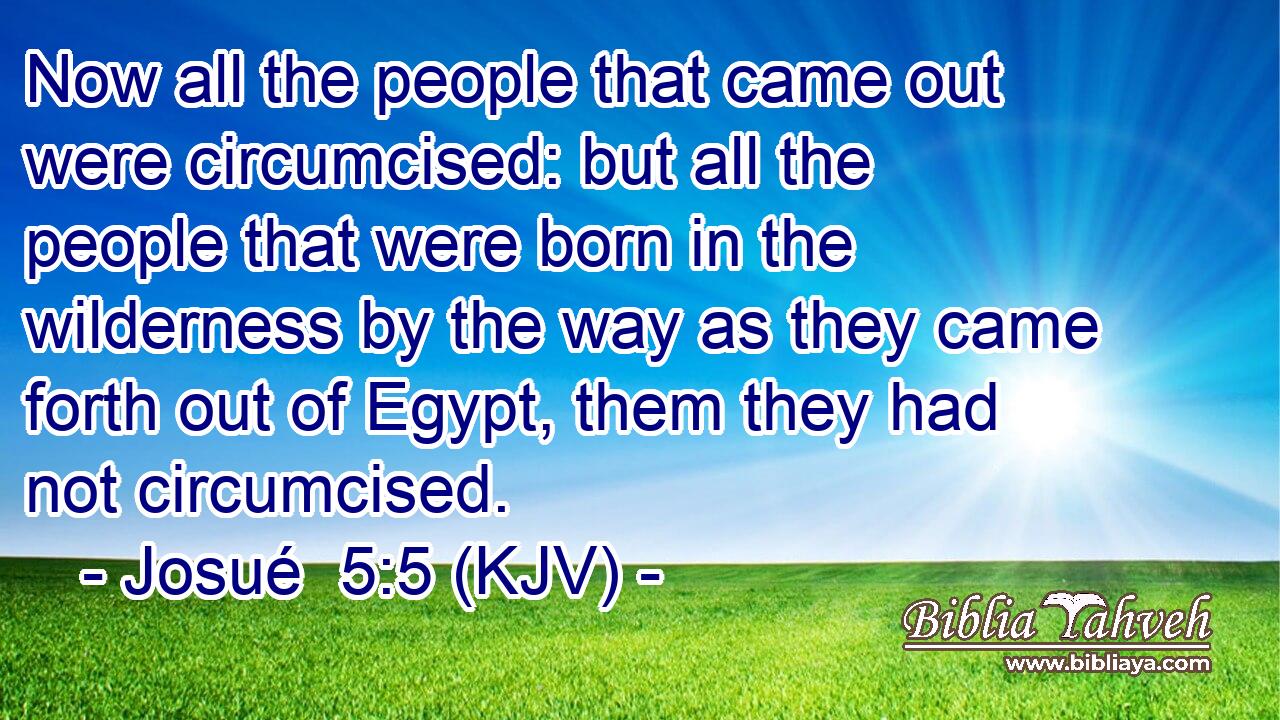 Now all the people that came out were circumcised: but all the people that were born in the wilderness by the way as they came forth out of Egypt, them they had not circumcised.