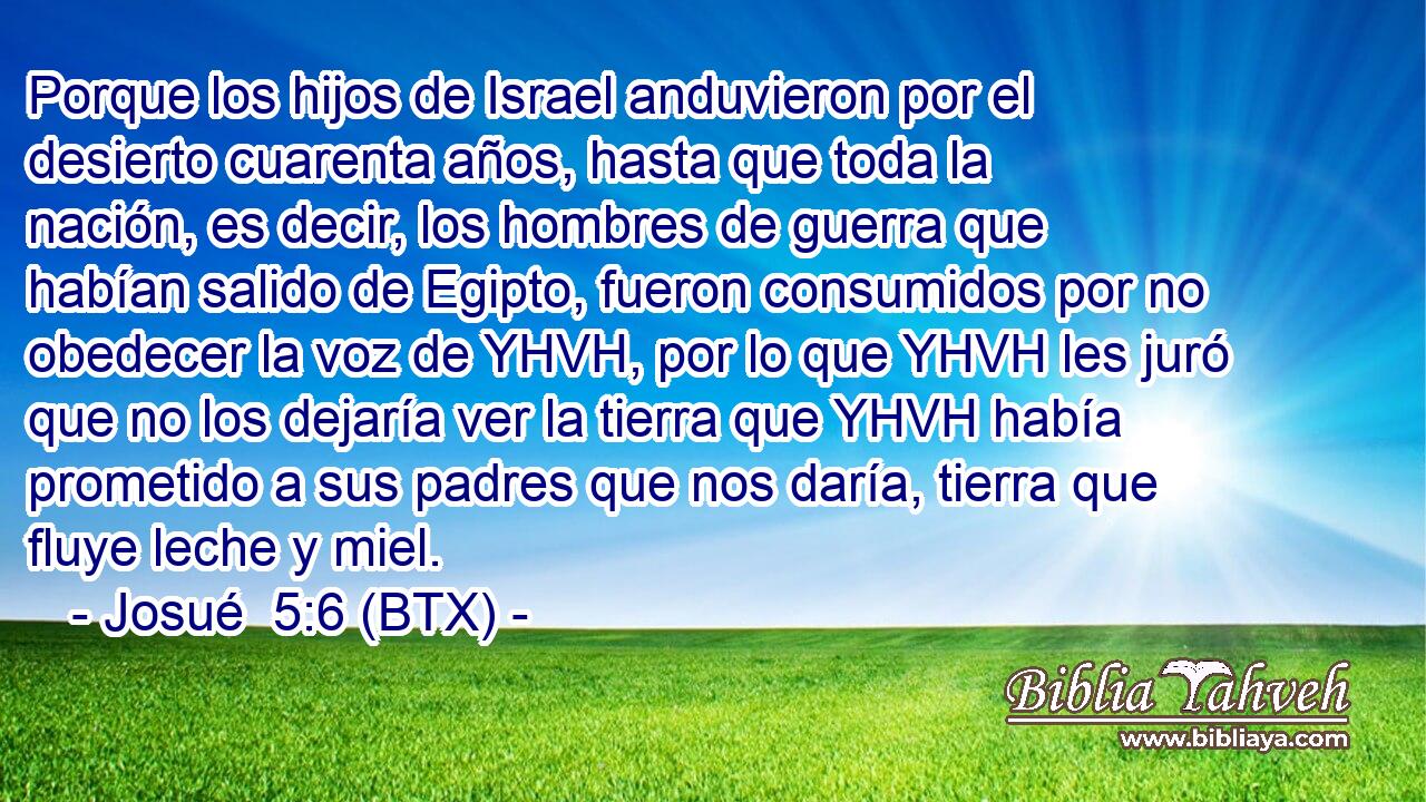 Porque los hijos de Israel anduvieron por el desierto cuarenta años, hasta que toda la nación, es decir, los hombres de guerra que habían salido de Egipto, fueron consumidos por no obedecer la voz de YHVH, por lo que YHVH les juró que no los dejaría ver la tierra que YHVH había prometido a sus padres que nos daría, tierra que fluye leche y miel.