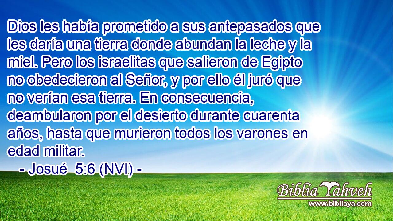  Dios les había prometido a sus antepasados que les daría una tierra donde abundan la leche y la miel. Pero los israelitas que salieron de Egipto no obedecieron al Señor, y por ello él juró que no verían esa tierra. En consecuencia, deambularon por el desierto durante cuarenta años, hasta que murieron todos los varones en edad militar. 