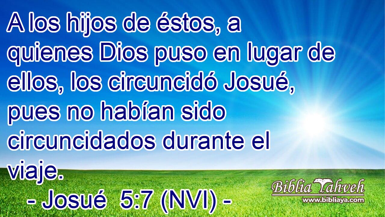  A los hijos de éstos, a quienes Dios puso en lugar de ellos, los circuncidó Josué, pues no habían sido circuncidados durante el viaje. 
