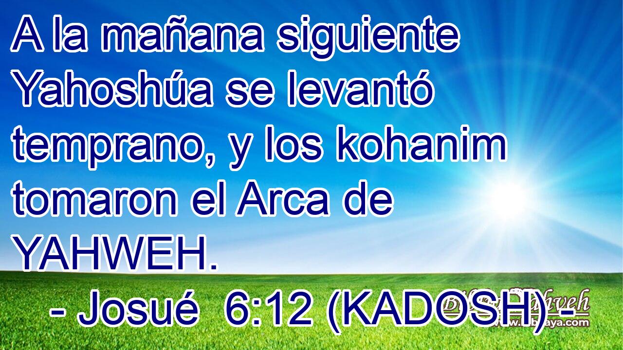  A la mañana siguiente Yahoshúa se levantó temprano, y los kohanim tomaron el Arca de YAHWEH. 