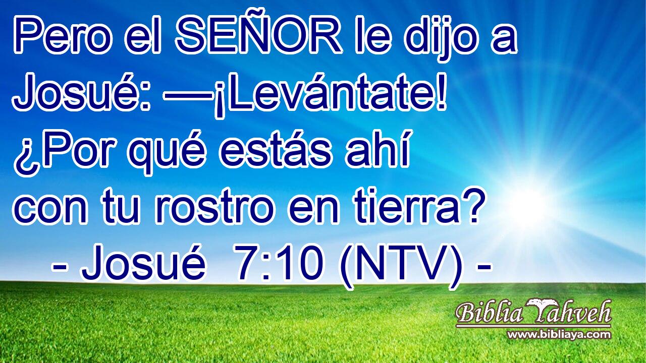 Pero el SEÑOR le dijo a Josué: —¡Levántate! ¿Por qué estás ahí con tu rostro en tierra?