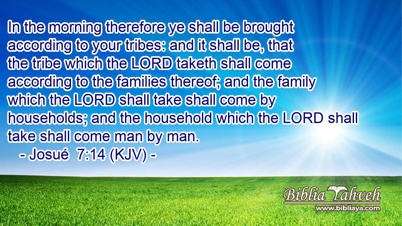 In the morning therefore ye shall be brought according to your tribes: and it shall be, that the tribe which the LORD taketh shall come according to the families thereof; and the family which the LORD shall take shall come by households; and the household which the LORD shall take shall come man by man.