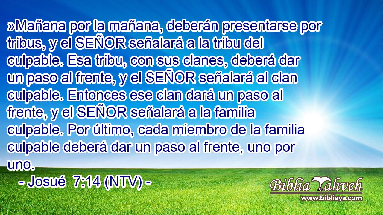 »Mañana por la mañana, deberán presentarse por tribus, y el SEÑOR señalará a la tribu del culpable. Esa tribu, con sus clanes, deberá dar un paso al frente, y el SEÑOR señalará al clan culpable. Entonces ese clan dará un paso al frente, y el SEÑOR señalará a la familia culpable. Por último, cada miembro de la familia culpable deberá dar un paso al frente, uno por uno.