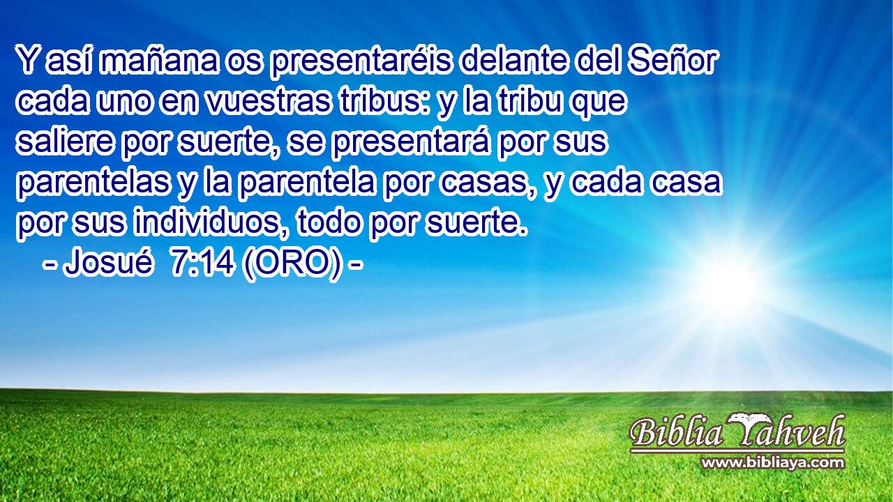  Y así mañana os presentaréis delante del Señor cada uno en vuestras tribus: y la tribu que saliere por suerte, se presentará por sus parentelas y la parentela por casas, y cada casa por sus individuos, todo por suerte. 