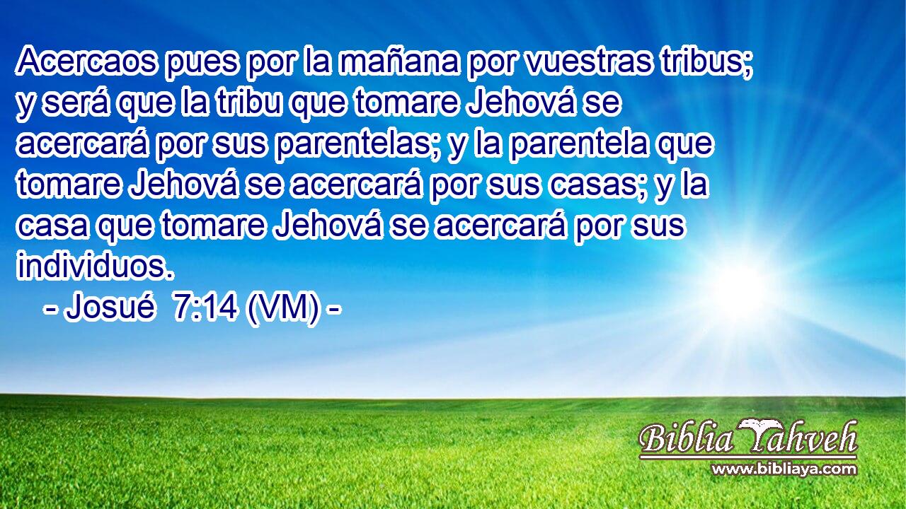  Acercaos pues por la mañana por vuestras tribus; y será que la tribu que tomare Jehová se acercará por sus parentelas; y la parentela que tomare Jehová se acercará por sus casas; y la casa que tomare Jehová se acercará por sus individuos. 