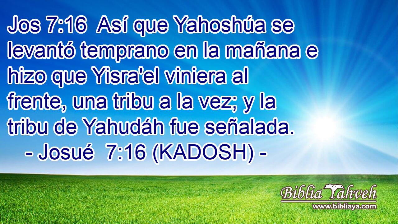  Así que Yahoshúa se levantó temprano en la mañana e hizo que Yisra'el viniera al frente, una tribu a la vez; y la tribu de Yahudáh fue señalada. 