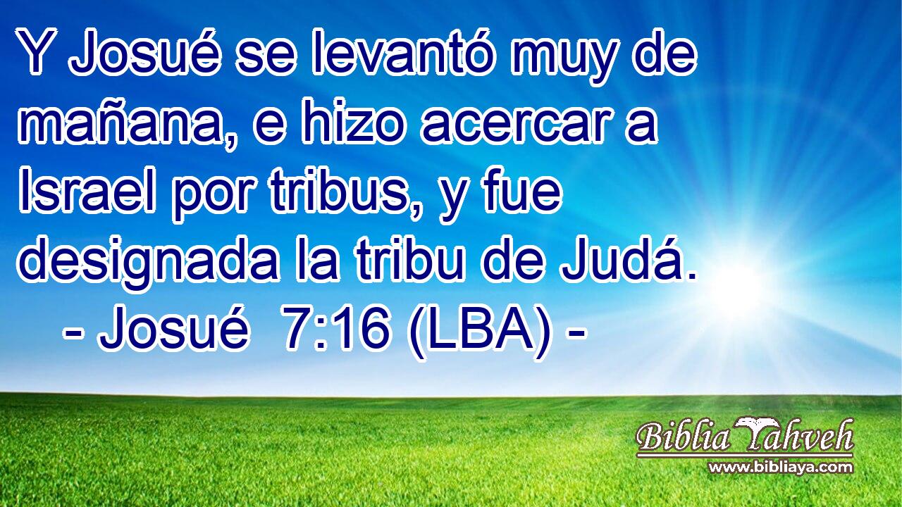 Y Josué se levantó muy de mañana, e hizo acercar a Israel por tribus, y fue designada la tribu de Judá.