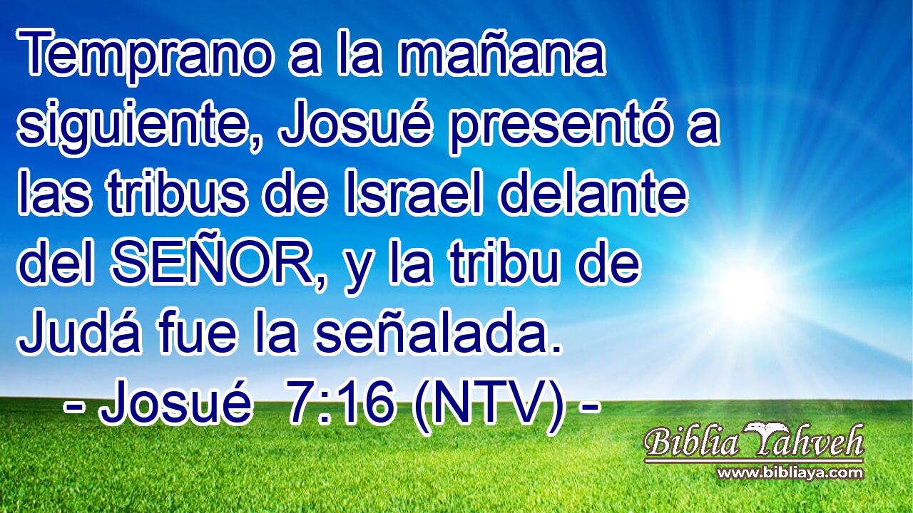 Temprano a la mañana siguiente, Josué presentó a las tribus de Israel delante del SEÑOR, y la tribu de Judá fue la señalada.