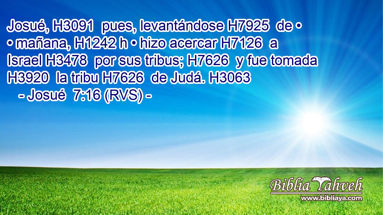 Josué, H3091  pues, levantándose H7925  de • • mañana, H1242 h • hizo acercar H7126  a Israel H3478  por sus tribus; H7626  y fue tomada H3920  la tribu H7626  de Judá. H3063  