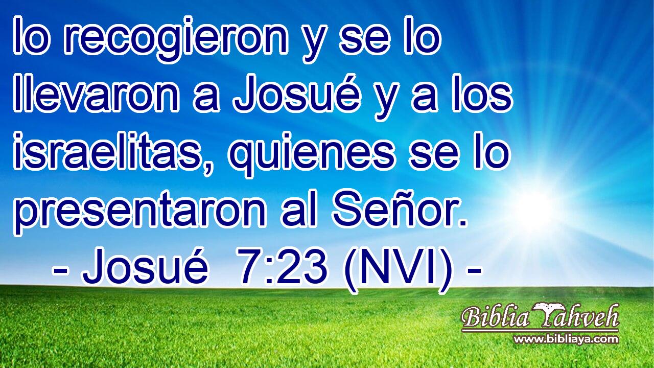  lo recogieron y se lo llevaron a Josué y a los israelitas, quienes se lo presentaron al Señor. 