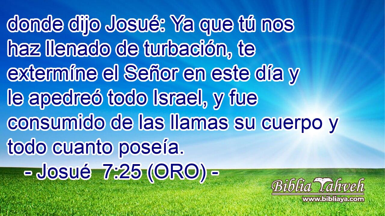  donde dijo Josué: Ya que tú nos haz llenado de turbación, te extermíne el Señor en este día y le apedreó todo Israel, y fue consumido de las llamas su cuerpo y todo cuanto poseía. 