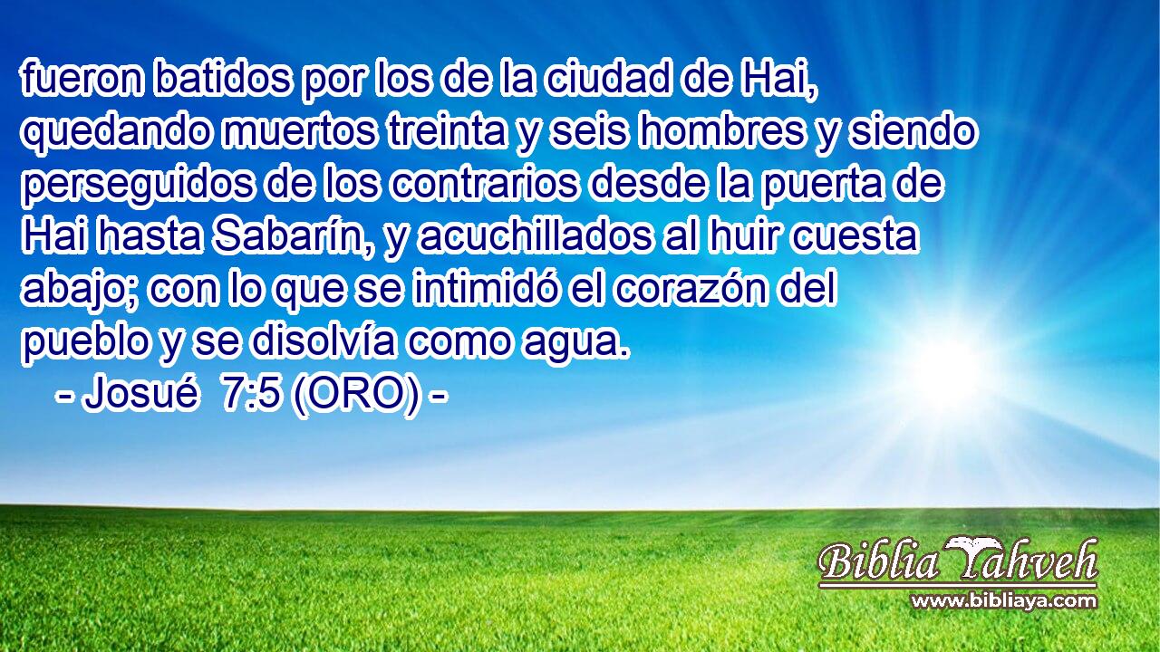  fueron batidos por los de la ciudad de Hai, quedando muertos treinta y seis hombres y siendo perseguidos de los contrarios desde la puerta de Hai hasta Sabarín, y acuchillados al huir cuesta abajo; con lo que se intimidó el corazón del pueblo y se disolvía como agua. 