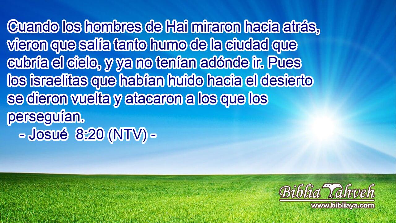 Cuando los hombres de Hai miraron hacia atrás, vieron que salía tanto humo de la ciudad que cubría el cielo, y ya no tenían adónde ir. Pues los israelitas que habían huido hacia el desierto se dieron vuelta y atacaron a los que los perseguían.