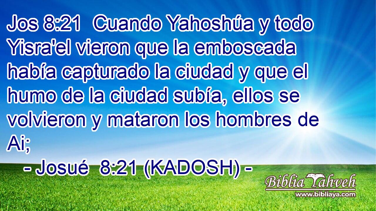  Cuando Yahoshúa y todo Yisra'el vieron que la emboscada había capturado la ciudad y que el humo de la ciudad subía, ellos se volvieron y mataron los hombres de Ai; 