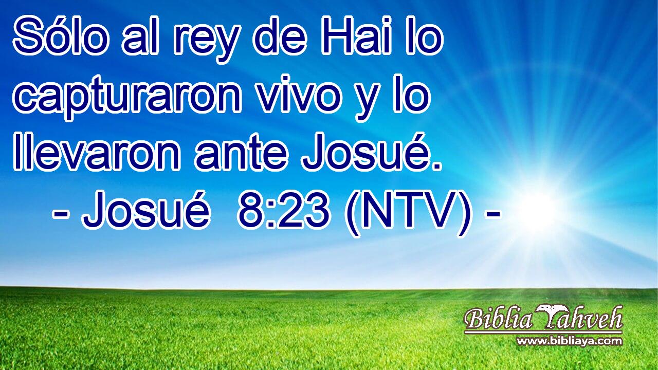 Sólo al rey de Hai lo capturaron vivo y lo llevaron ante Josué.