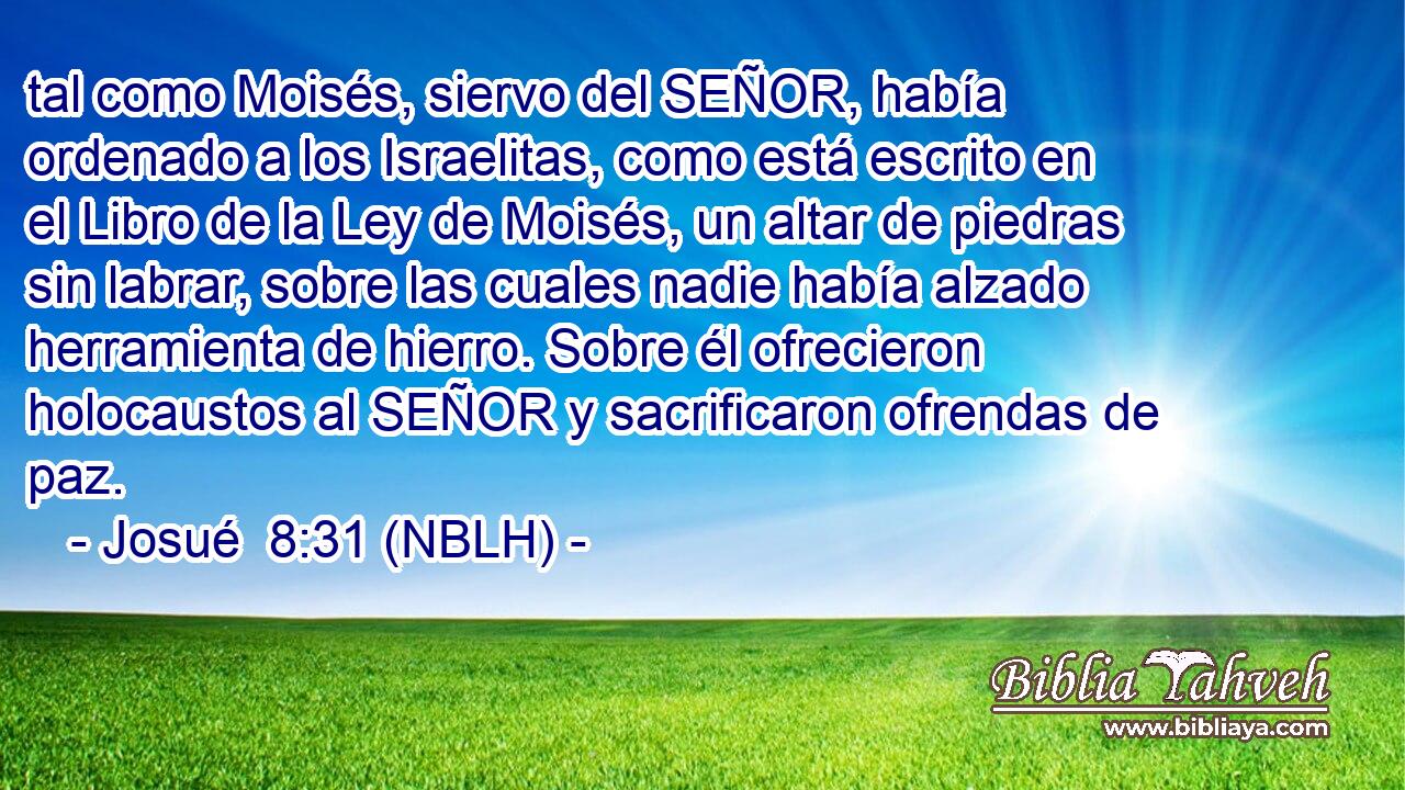  tal como Moisés, siervo del SEÑOR, había ordenado a los Israelitas, como está escrito en el Libro de la Ley de Moisés, un altar de piedras sin labrar, sobre las cuales nadie había alzado herramienta de hierro. Sobre él ofrecieron holocaustos al SEÑOR y sacrificaron ofrendas de paz. 
