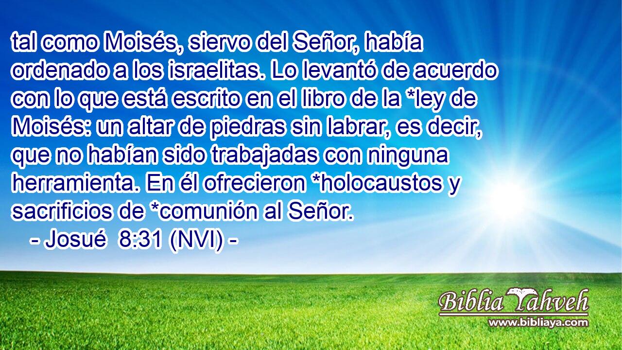  tal como Moisés, siervo del Señor, había ordenado a los israelitas. Lo levantó de acuerdo con lo que está escrito en el libro de la *ley de Moisés: un altar de piedras sin labrar, es decir, que no habían sido trabajadas con ninguna herramienta. En él ofrecieron *holocaustos y sacrificios de *comunión al Señor. 