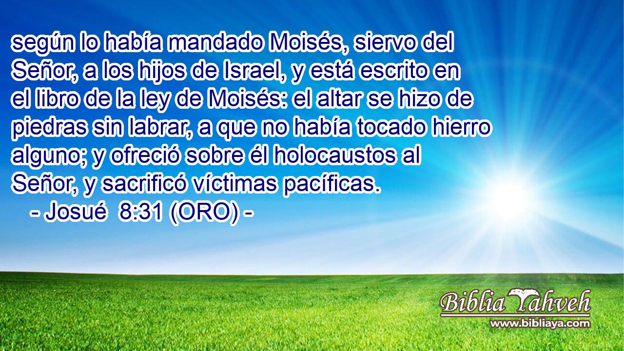  según lo había mandado Moisés, siervo del Señor, a los hijos de Israel, y está escrito en el libro de la ley de Moisés: el altar se hizo de piedras sin labrar, a que no había tocado hierro alguno; y ofreció sobre él holocaustos al Señor, y sacrificó víctimas pacíficas. 